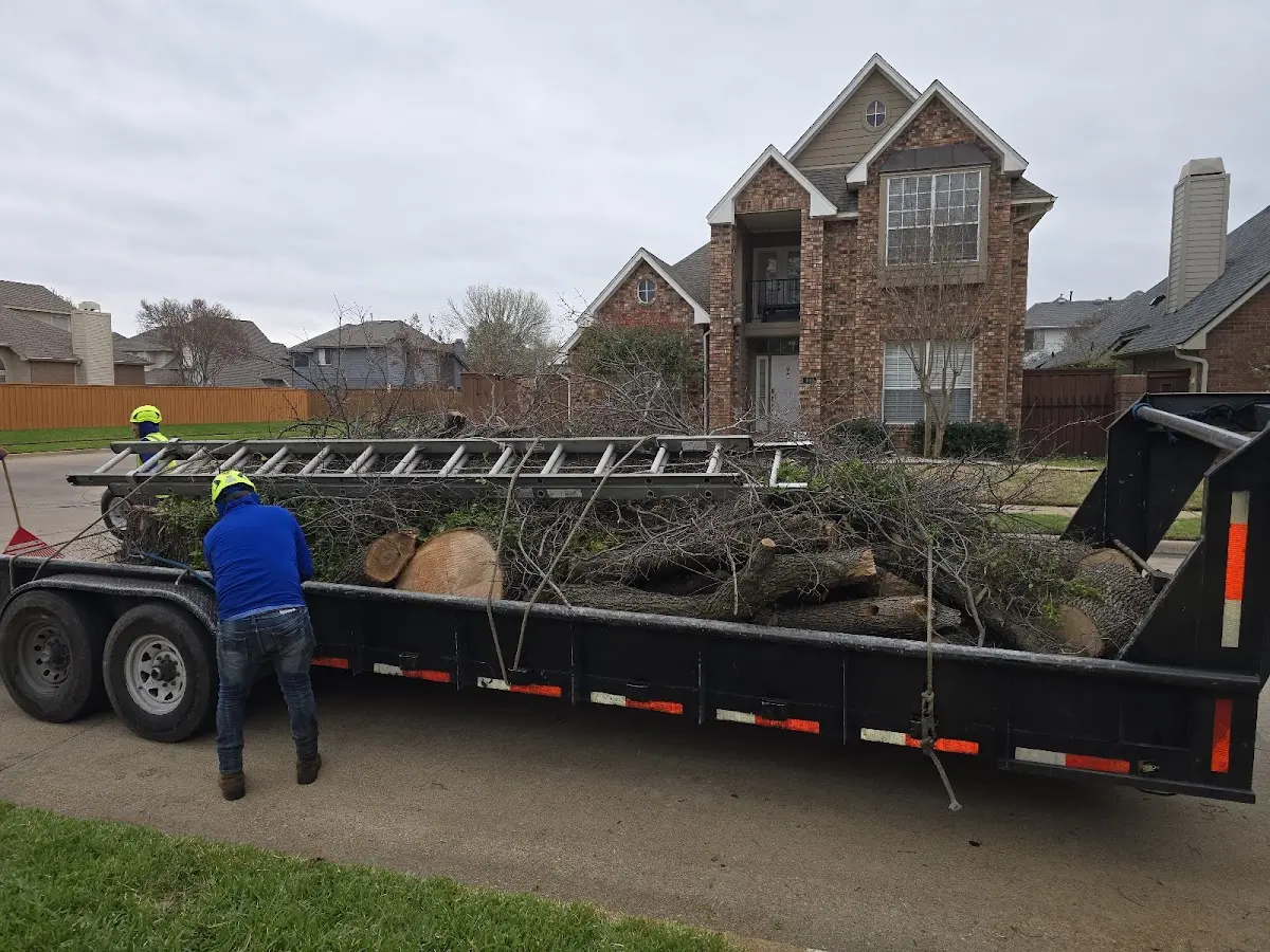 Expert Lot Clearing with proper safety equipment in Inver Grove Heights